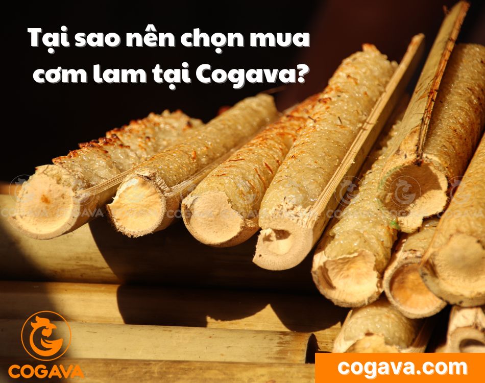 Tại sao mua cơm lam Cogava