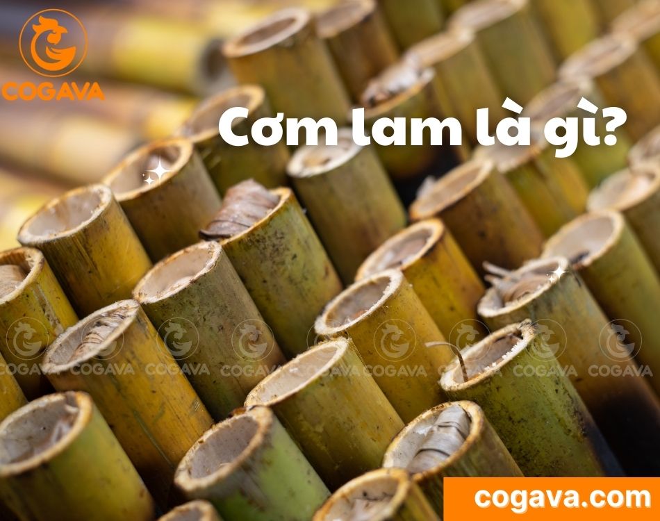 Cơm lam ống tre Tây Nguyên