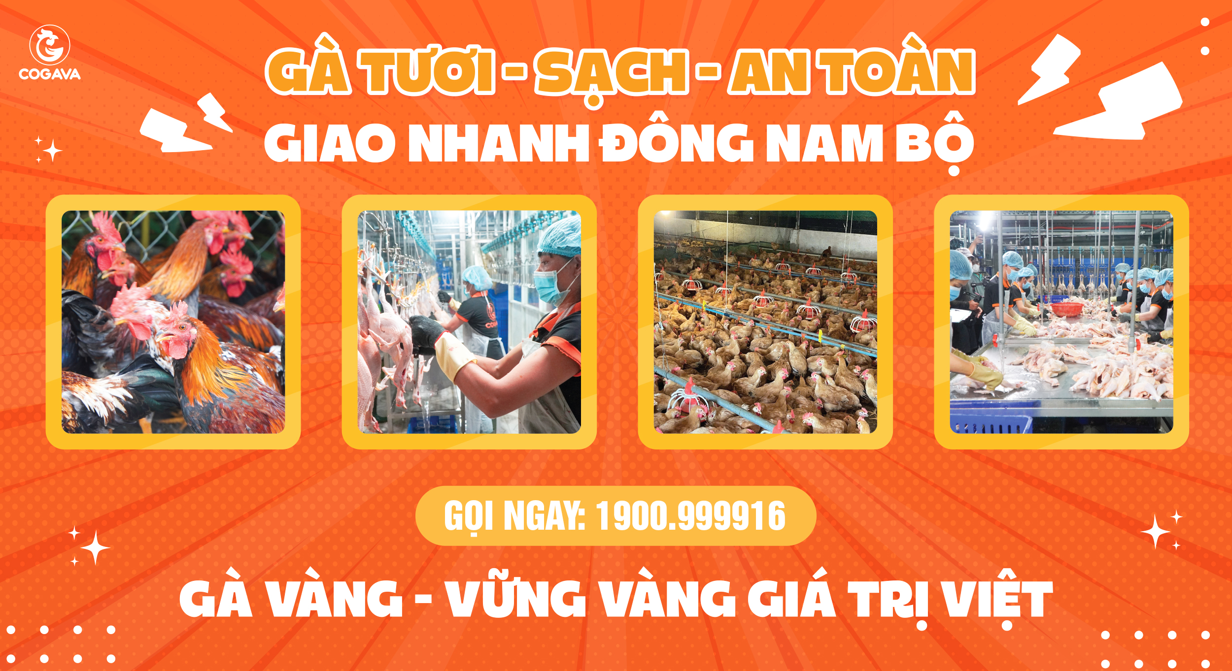 Gà Vàng là đơn vị cung cấp gà tươi tại Bình Dương từ lâu nay