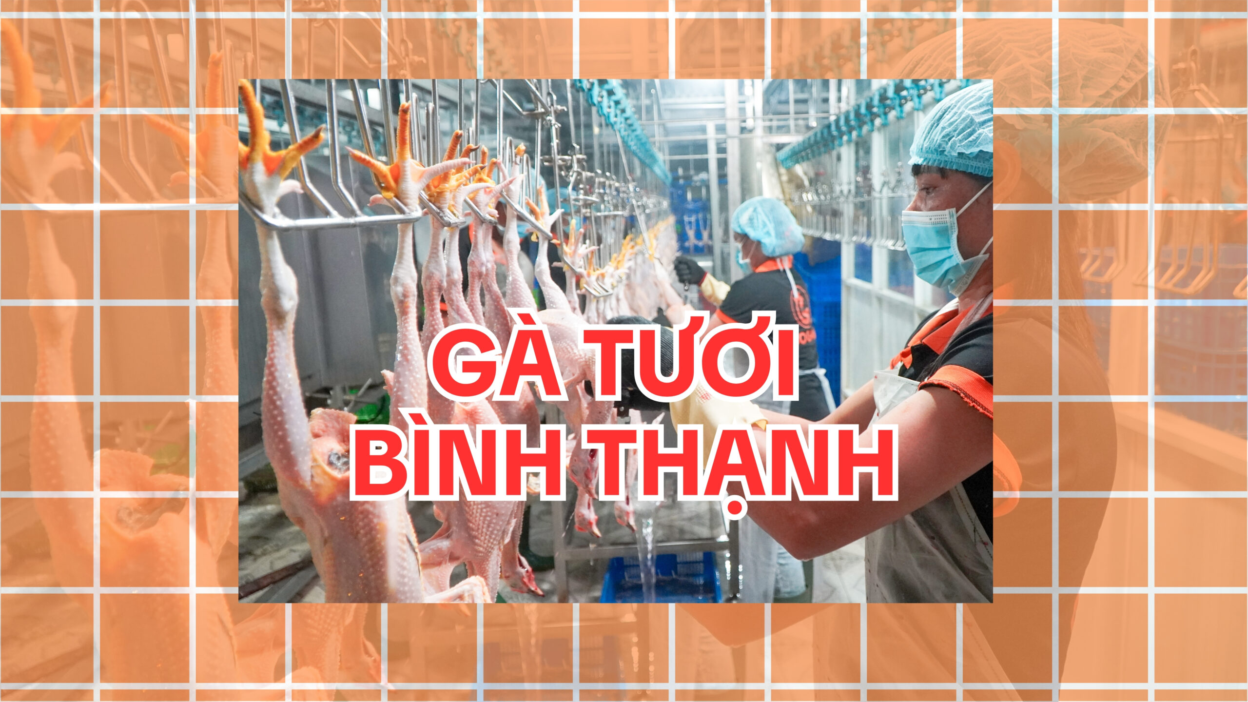 Mua gà tươi uy tín tại Bình Thạnh