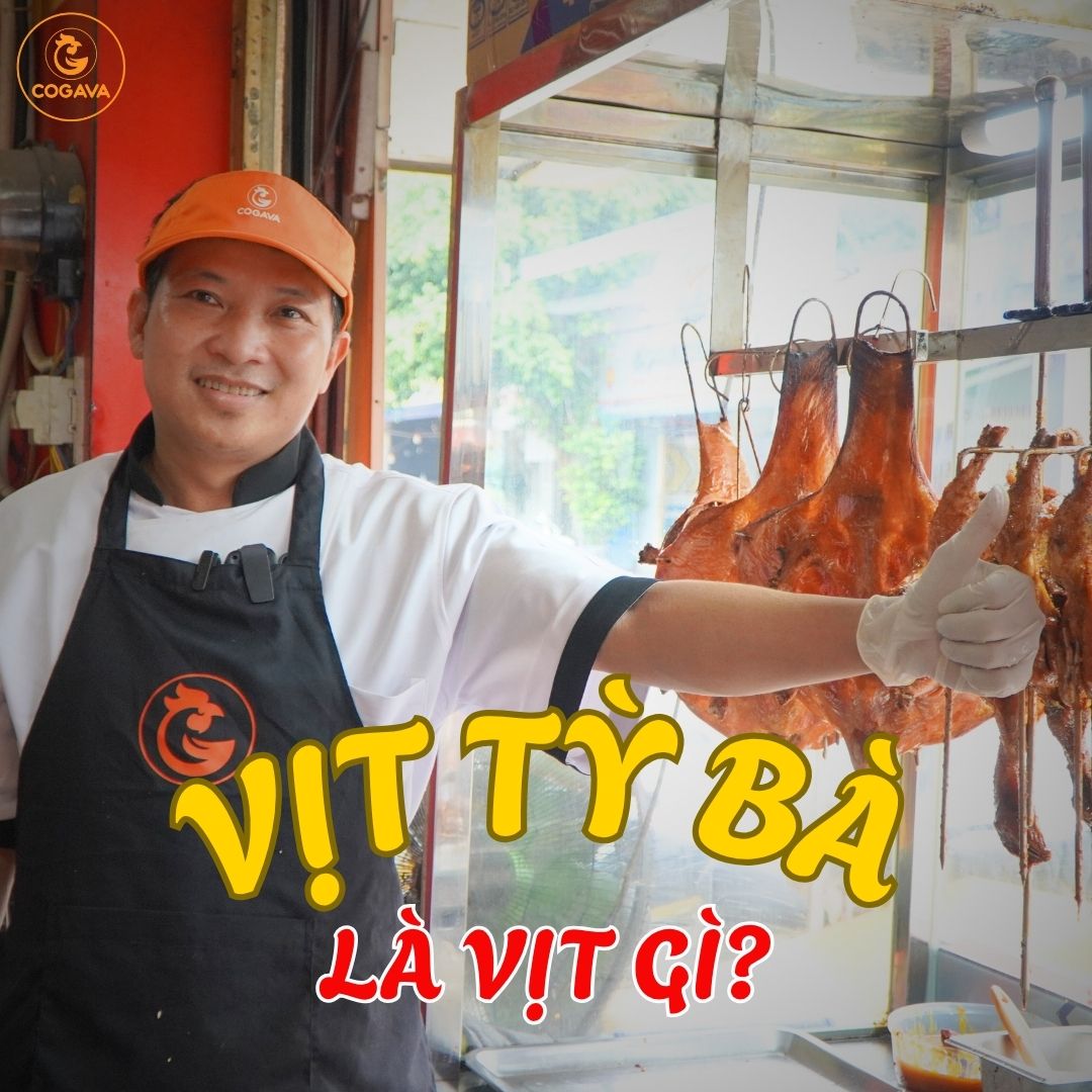 Vịt Tỳ Bà là vịt gì?