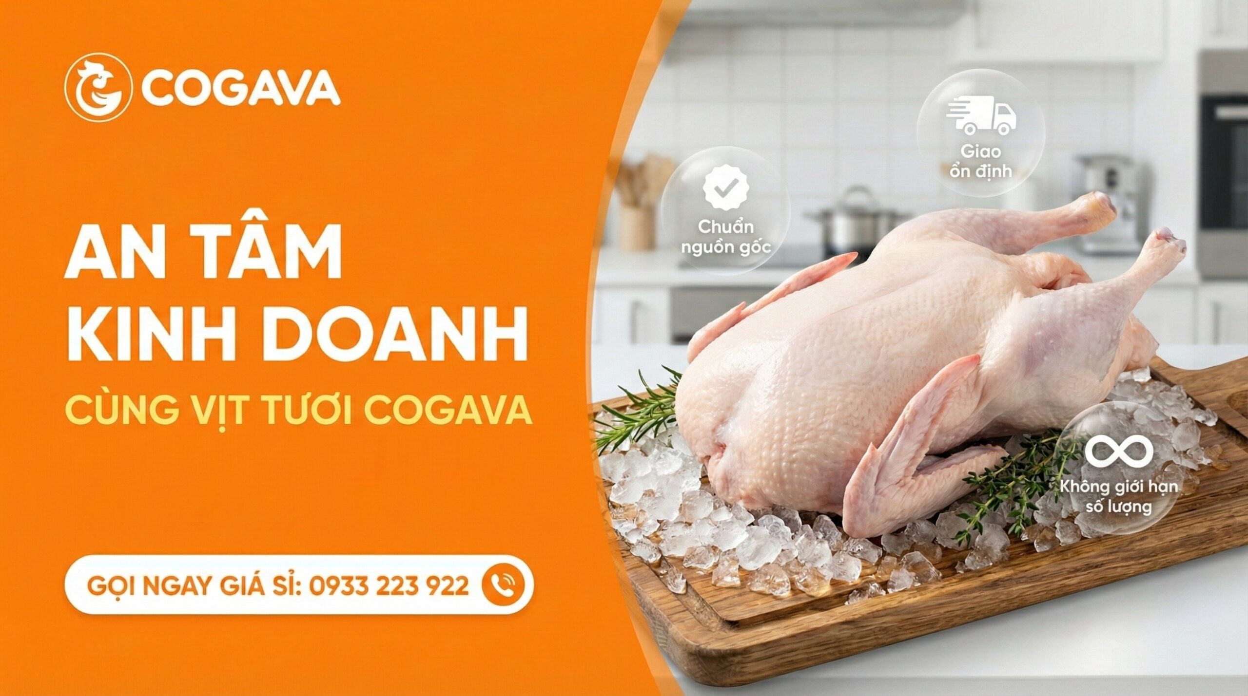 An tâm kinh doanh cùng vịt tươi Gà Vàng (COGAVA)