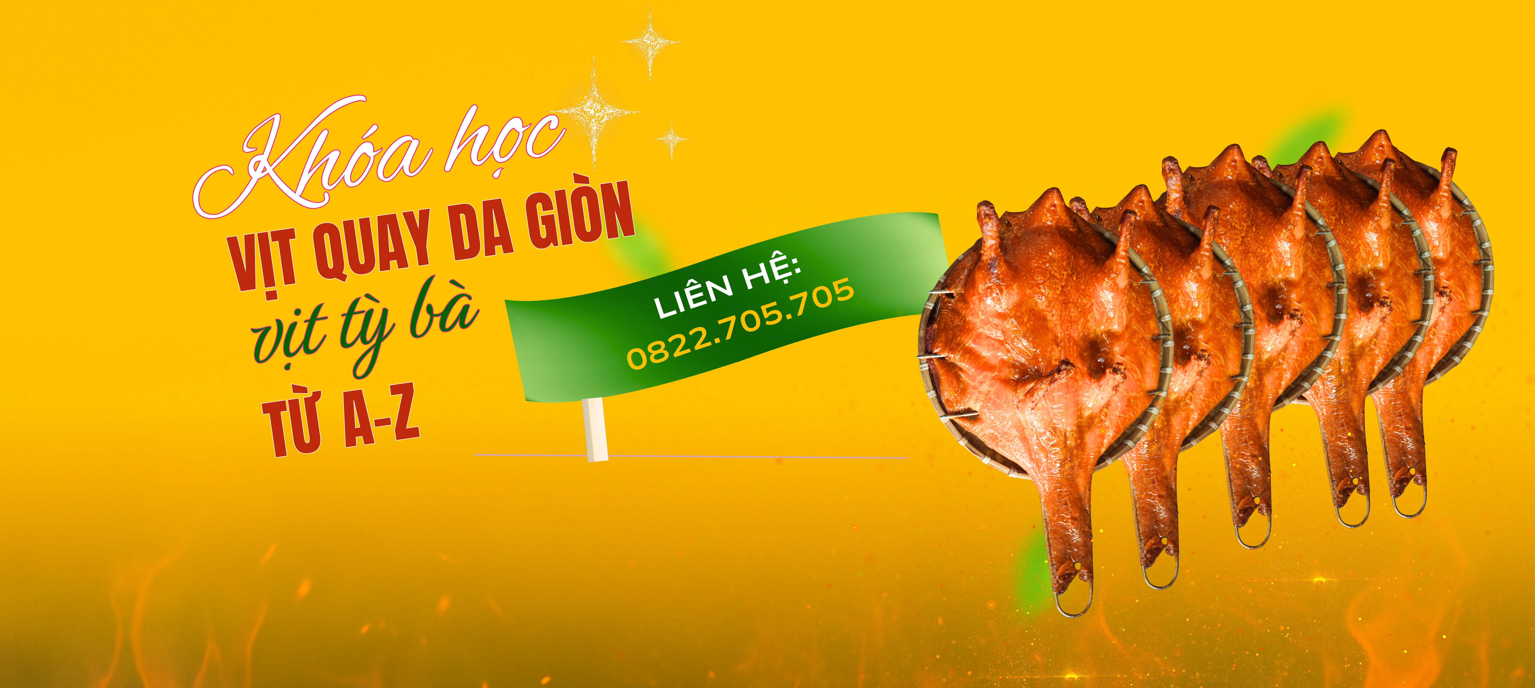 Khóa học vịt Tỳ Bà COGAVA - Hướng dẫn chi tiết từ A-Z