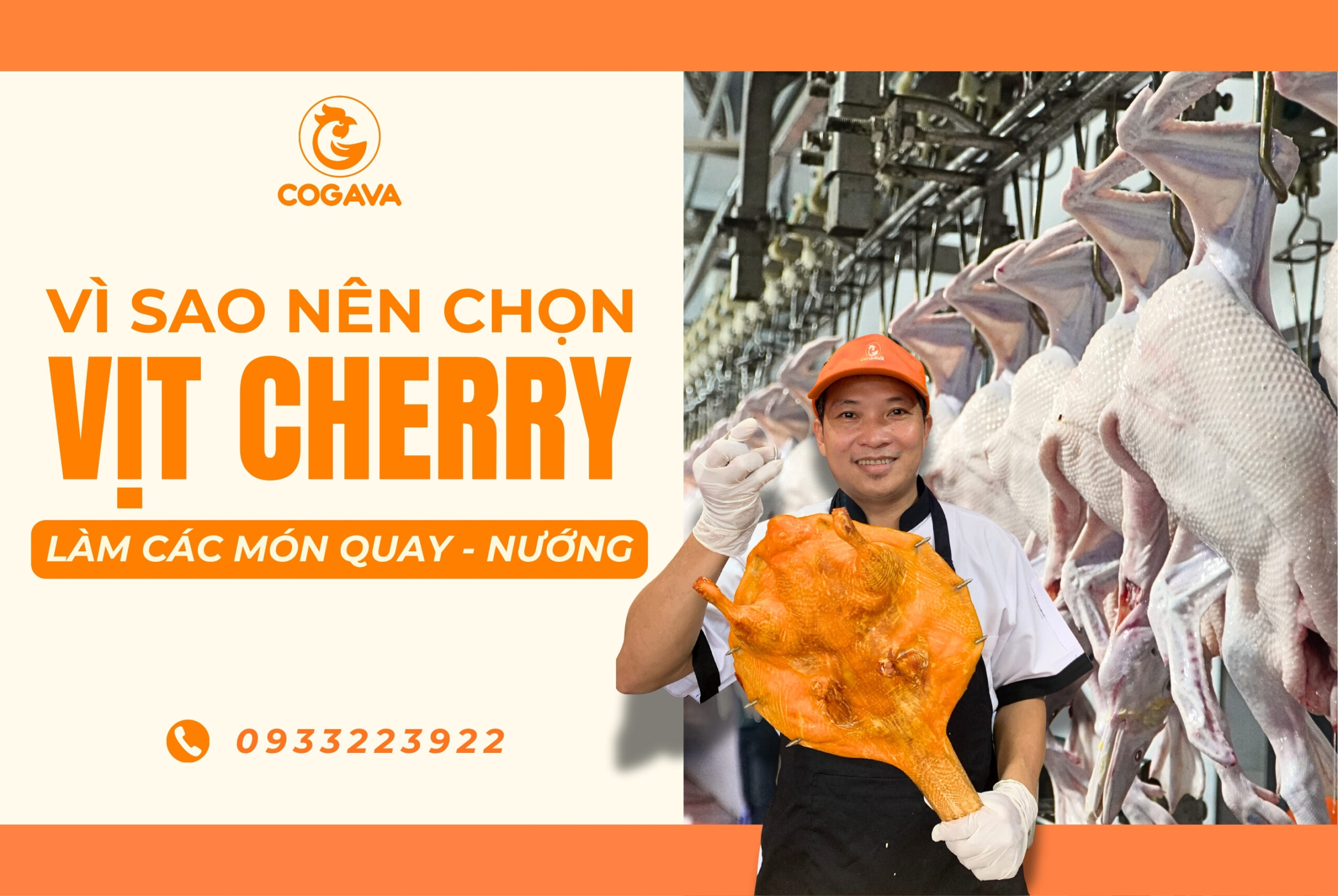 Vịt Cherry, chuyên dùng làm vịt quay da giòn, quay tỳ bà