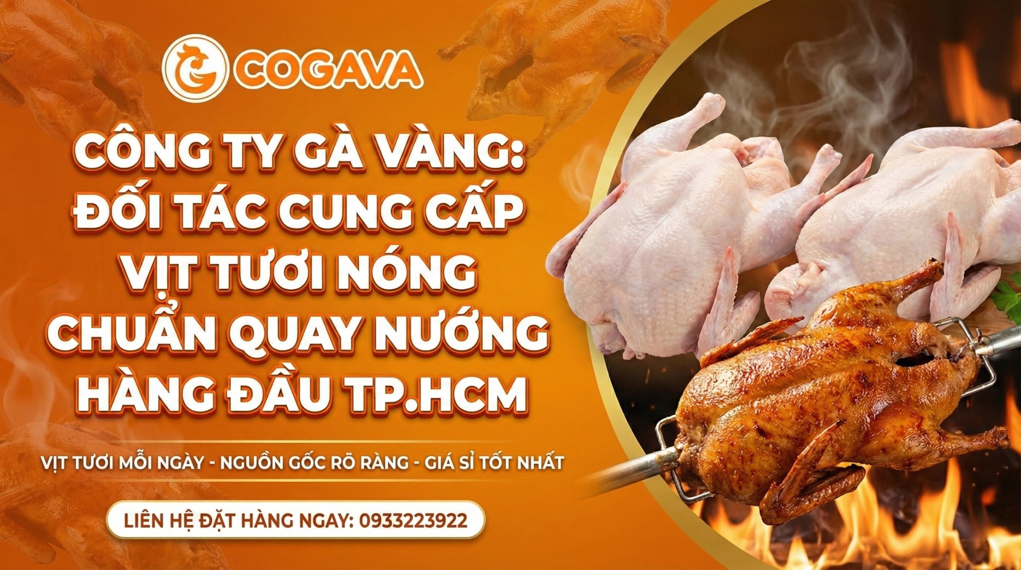 Công ty Gà Vàng là đối tác uy tín của bạn