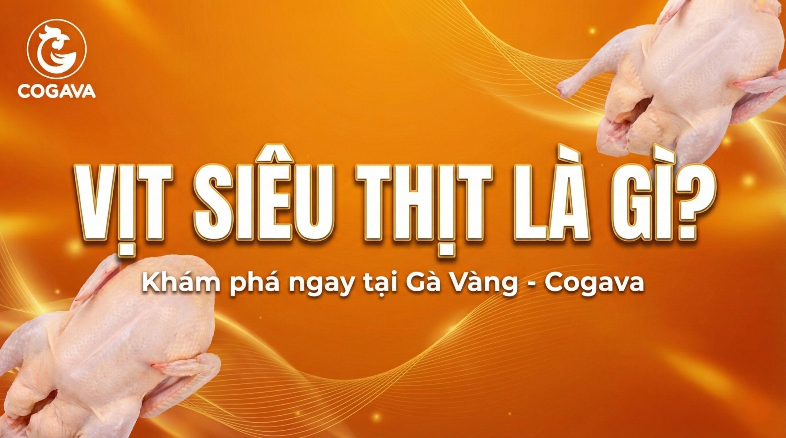 Vịt siêu thịt