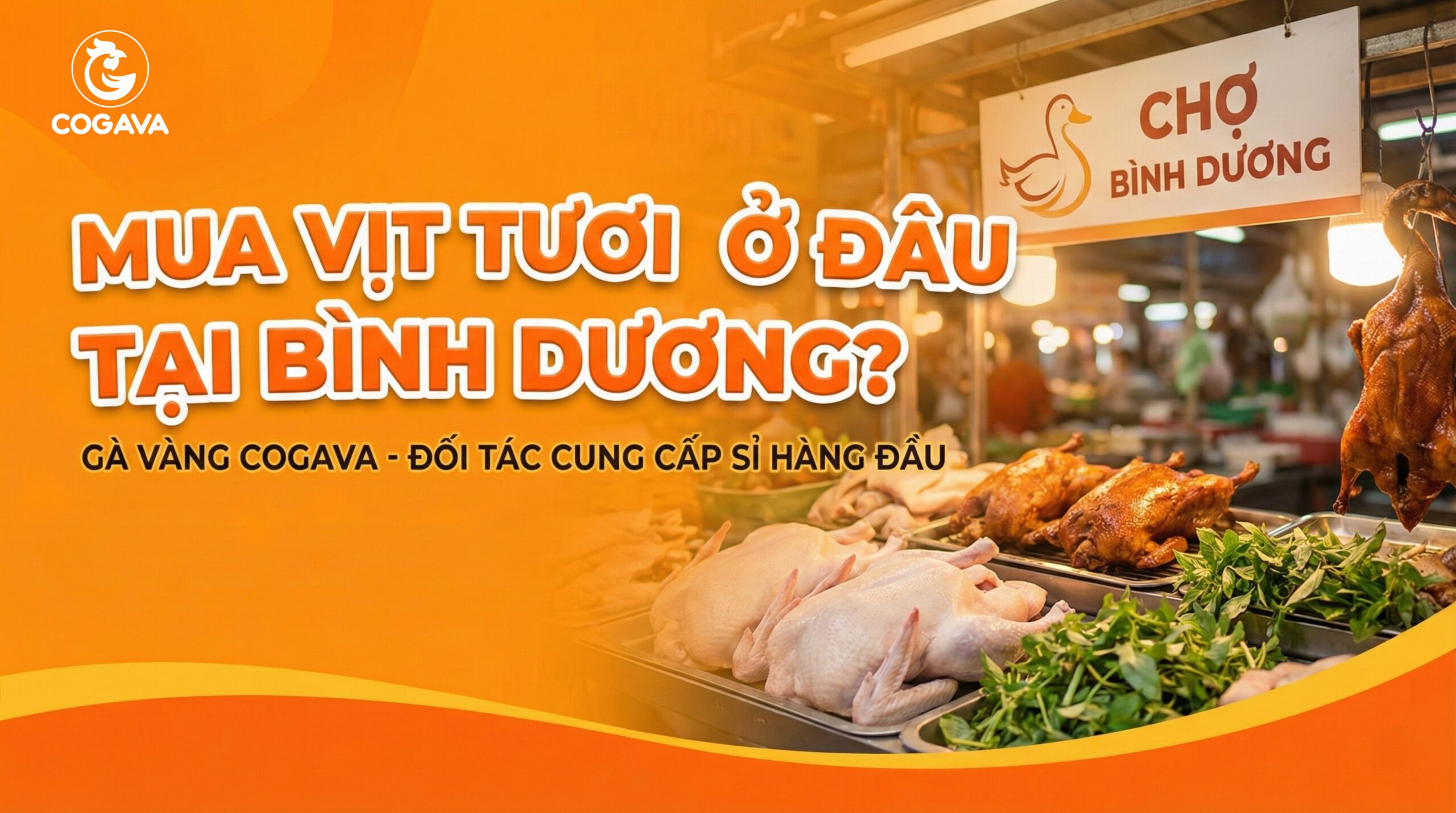 Mua vịt tươi ở đâu tại Bình Dương