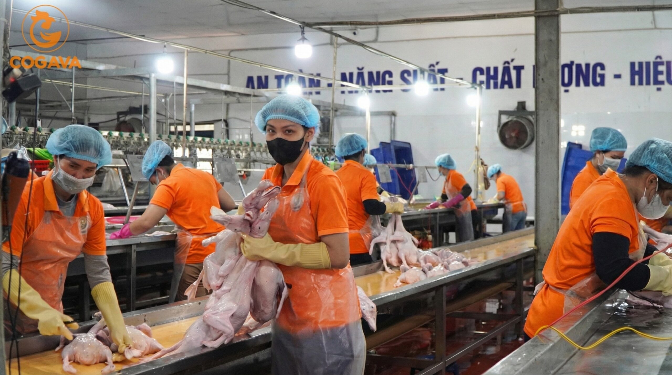 Nhu cầu tìm nguồn vịt tươi làm sẵn ngày một tăng cao