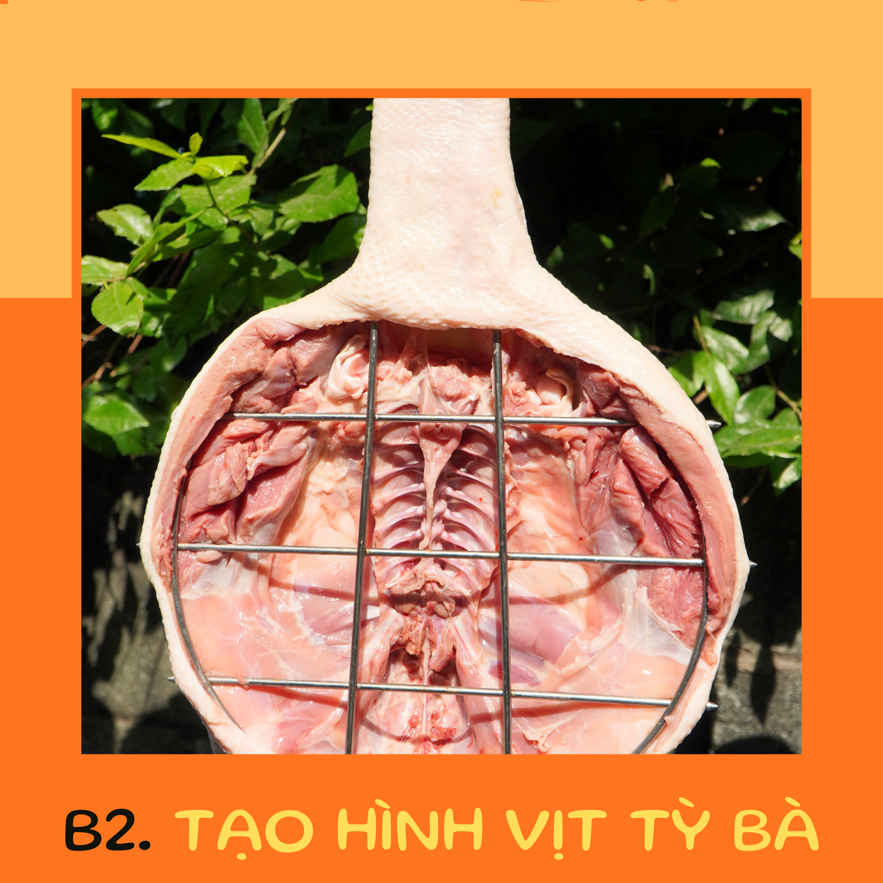 Bước 2: Tạo hình vịt Tỳ Bà vào vỉ