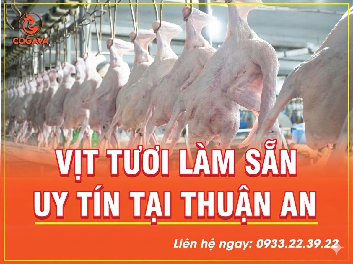 Mua vịt tươi ở đâu tại Thuận An