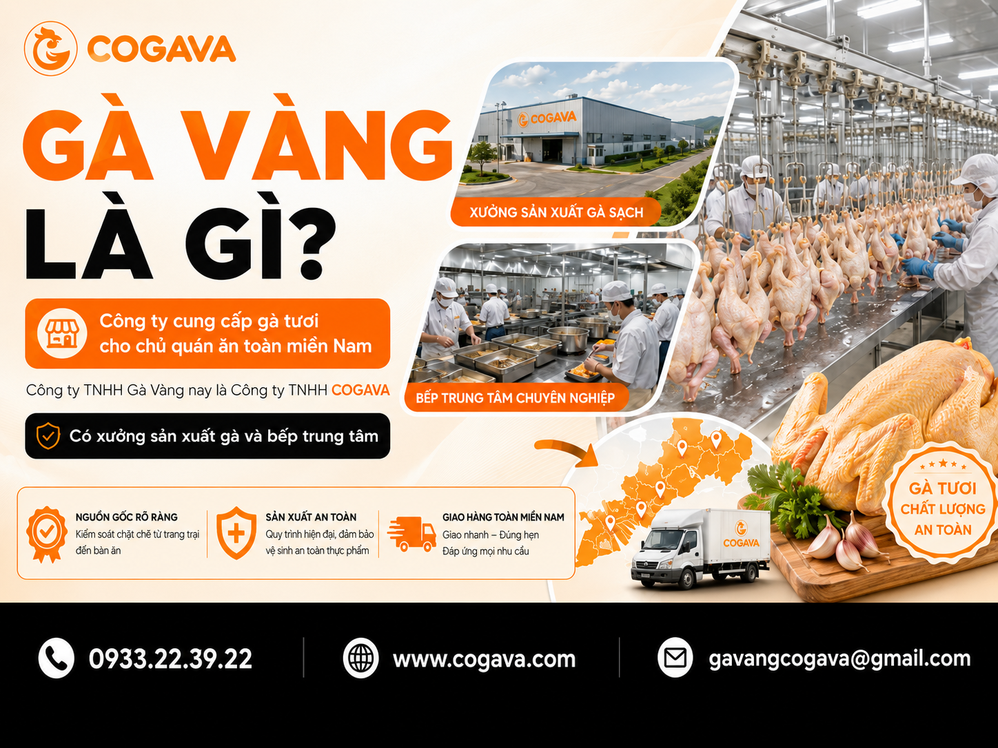 Gà Vàng là gì? Công ty TNHH Gà Vàng - Chuyên cung cấp sỉ gà cho quán ăn